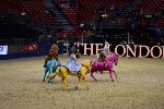 Quadrille - 00553